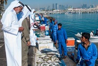 Fish market in Doha, Qatar