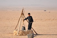 Bedouin boy in Tadmorean Desert I