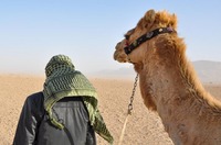 Bedouin and his camel in Tadmorean Desert