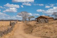 The climate induced multi-year drought has left all fields bare and barns empty for farmers in the Northeast Brazil. 