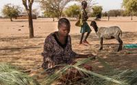 The reduced amount or lack of water for irrigation of crops has made some women collect reeds for making brooms to sell in Turkana, Kenya.