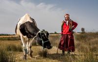 The Berber women in Tunisia have to walk further with their livestock to find feeding areas during the recurrent droughts.