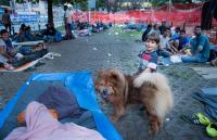 Refugee boy and a local dog in Belgrade, Serbia.