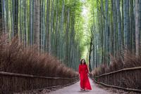 Woman in red in the bamboo grove in Arashiyama, Japan