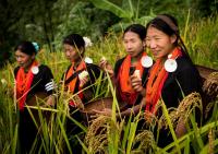 Naga Women in a Rice Field in the Mountains, Myanmar
