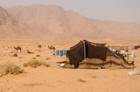 Bedouin settlement in Wadi Rum