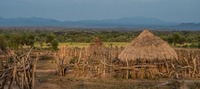 Hamer tribe:   See more in the book: http://www.blurb.com/b/4633120-people-of-the-omo-valley-under-climate-and-other-p