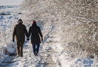 Winter in Frijsenborg forest, Jutland