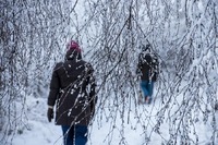 Winter in Frijsenborg forest, Jutland