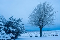 Winter in Svenstrup, Jytland