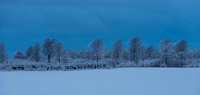 Winter in Svenstrup, Jytland