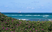 Summer on Samsoe Island