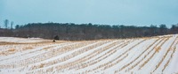 Winter in Svenstrup, Jytland