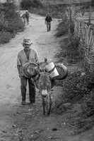 Drought in Ceara, the Northeast Brazil - 1