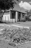 Drought in Ceara, the Northeast Brazil - 8