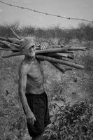 Drought in Ceara, the Northeast Brazil - 6