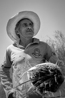 Drought in Ceara, the Northeast Brazil - 4