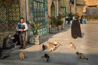 Picnickers in a Mosque in Tehran, Iran