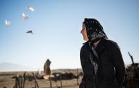 In Iran, the semi-nomadic Qashqai peoples can no longer use the birds and other animal behaviors as markers of when to move due to climate change.