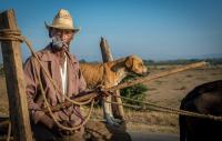 Cuban rural lives are changing with the drying climate. Farmers have less crops to take to the markets and that reduces their already low household income.