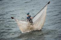 Fisherman in Amarapura, Myanmar