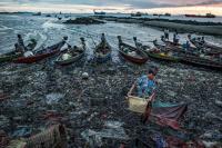 Morning in the Fish Port in Sittwe, Myanmar