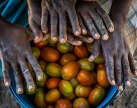 Cyclone Idai Victims, Zimbabwe