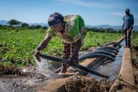 Tongogare Refugee Camp, Zimbabwe