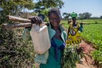 Tongogare Refugee Camp, Zimbabwe