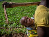 Tongogare Refugee Camp, Zimbabwe