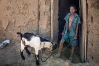 Tongogare Refugee Camp, Zimbabwe