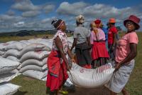 Cyclone Idai Victims, Zimbabwe